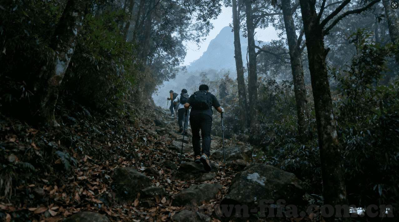 九游不用登录下载-破解游戏世界的神秘，九游不用登录下载游戏的魅力